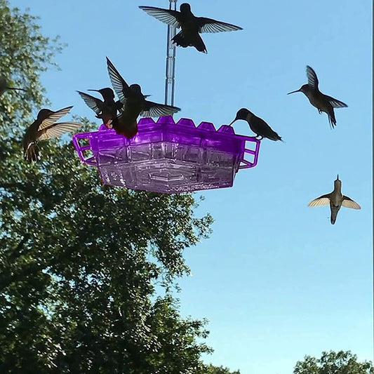 Hummingbird Feeder With Ant-Proof Hanging Perch For Outdoor Use