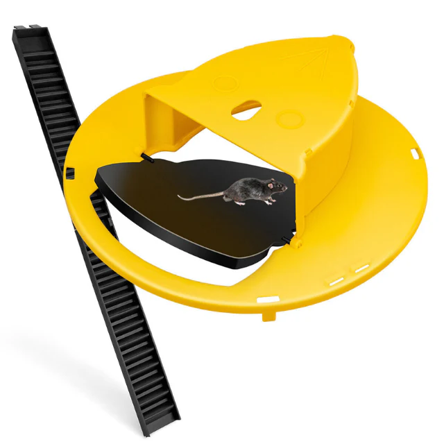Bucket Trap Cover with Automatic Reset and Dual Access Ladders for Rodent Control