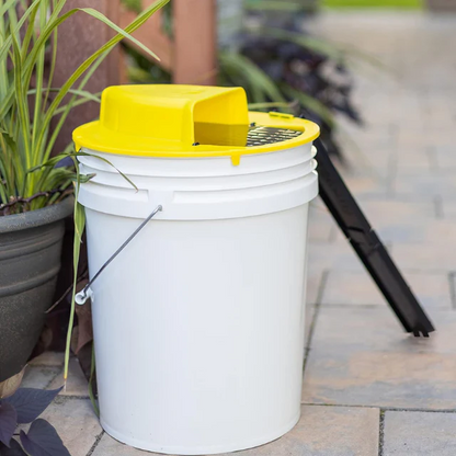 Bucket Trap Cover with Automatic Reset and Dual Access Ladders for Rodent Control