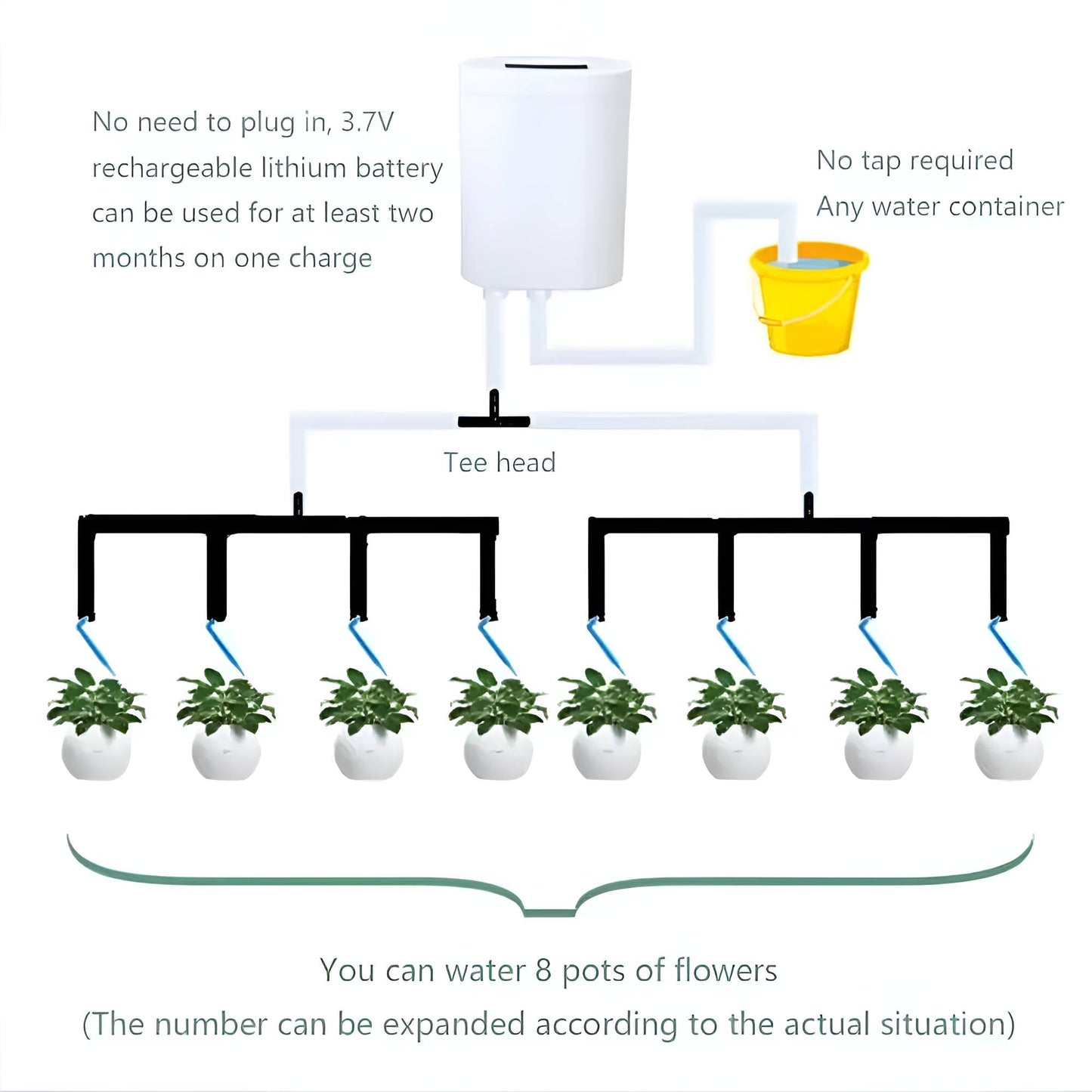 Programmable Plant Watering System with LCD Display and 120 Day Battery