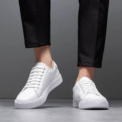 Men’s Office & Casual Low Top Sneakers