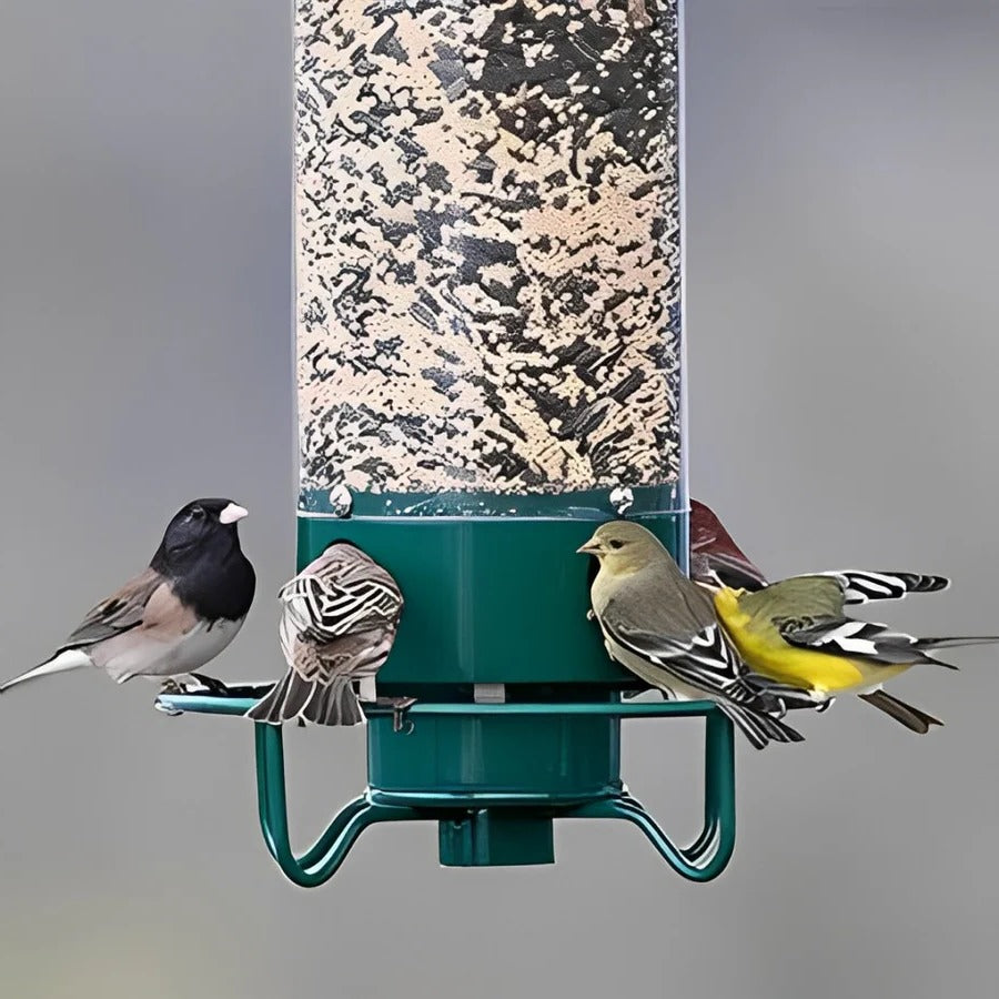 Bird Feeder with Weight Activated Spinning Perch and Four Feeding Ports, 5lb Capacity