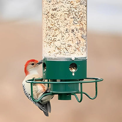 Bird Feeder with Weight Activated Spinning Perch and Four Feeding Ports, 5lb Capacity