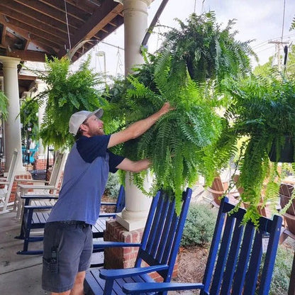 Add Greenery Without Watering with This Artificial Fern (UV-Resistant Polyethylene Leaves, Water-Resistant Build)