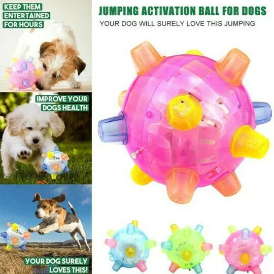 Automatic Jumping Ball for Dogs with Touch Activation and Impact Resistant Design
