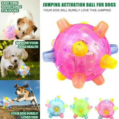 Automatic Jumping Ball for Dogs with Touch Activation and Impact Resistant Design