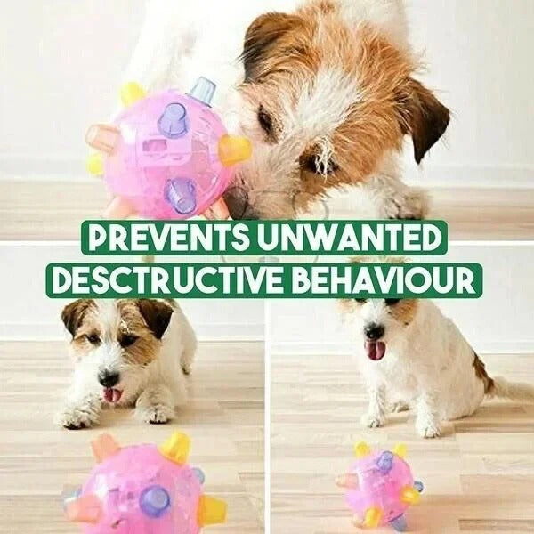 Automatic Jumping Ball for Dogs with Touch Activation and Impact Resistant Design