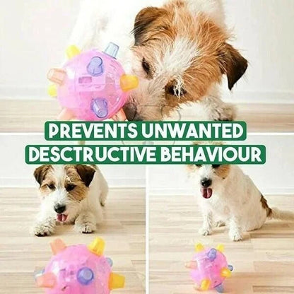 Automatic Jumping Ball for Dogs with Touch Activation and Impact Resistant Design