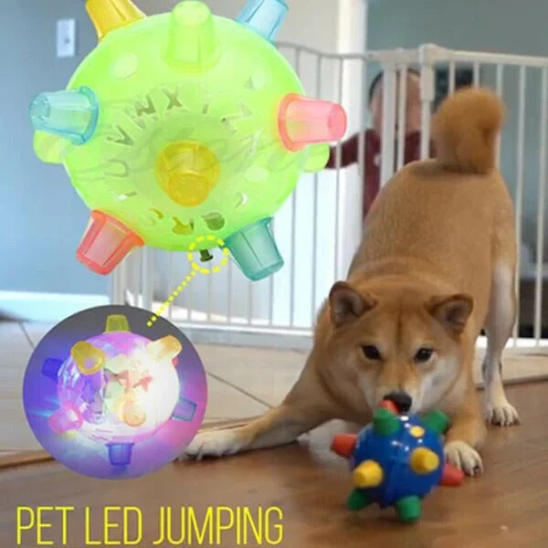 Automatic Jumping Ball for Dogs with Touch Activation and Impact Resistant Design