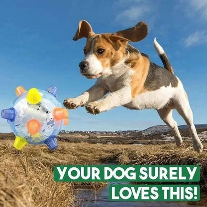 Automatic Jumping Ball for Dogs with Touch Activation and Impact Resistant Design