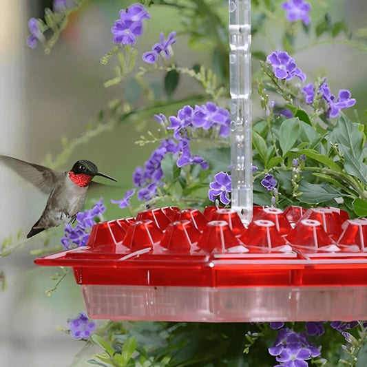 Hummingbird Feeder With Built-In Ant Moat And Leakproof Design
