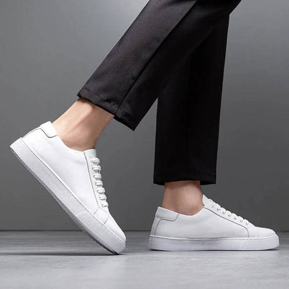 Men’s Office & Casual Low Top Sneakers