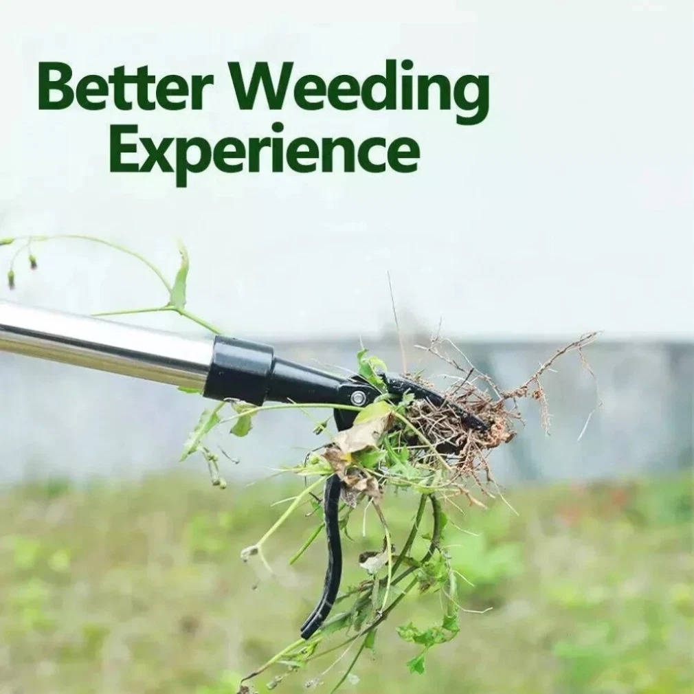 Bamboo Handle Weed Puller with Four Steel Claws and Foot Pedal, Standing Height