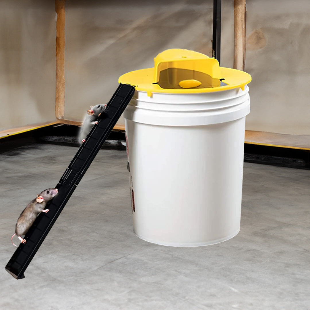 Bucket Trap Cover with Automatic Reset and Dual Access Ladders for Rodent Control