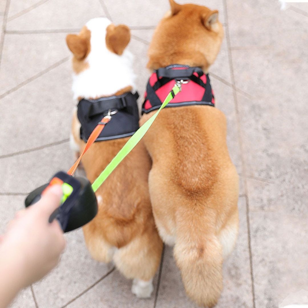 Dual Dog Leash with Swivel Joint and Padded Handle for Medium to Large Breeds